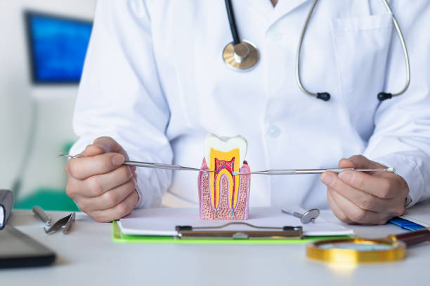 Best Emergency Broken Tooth Repair in Blissfield, MI